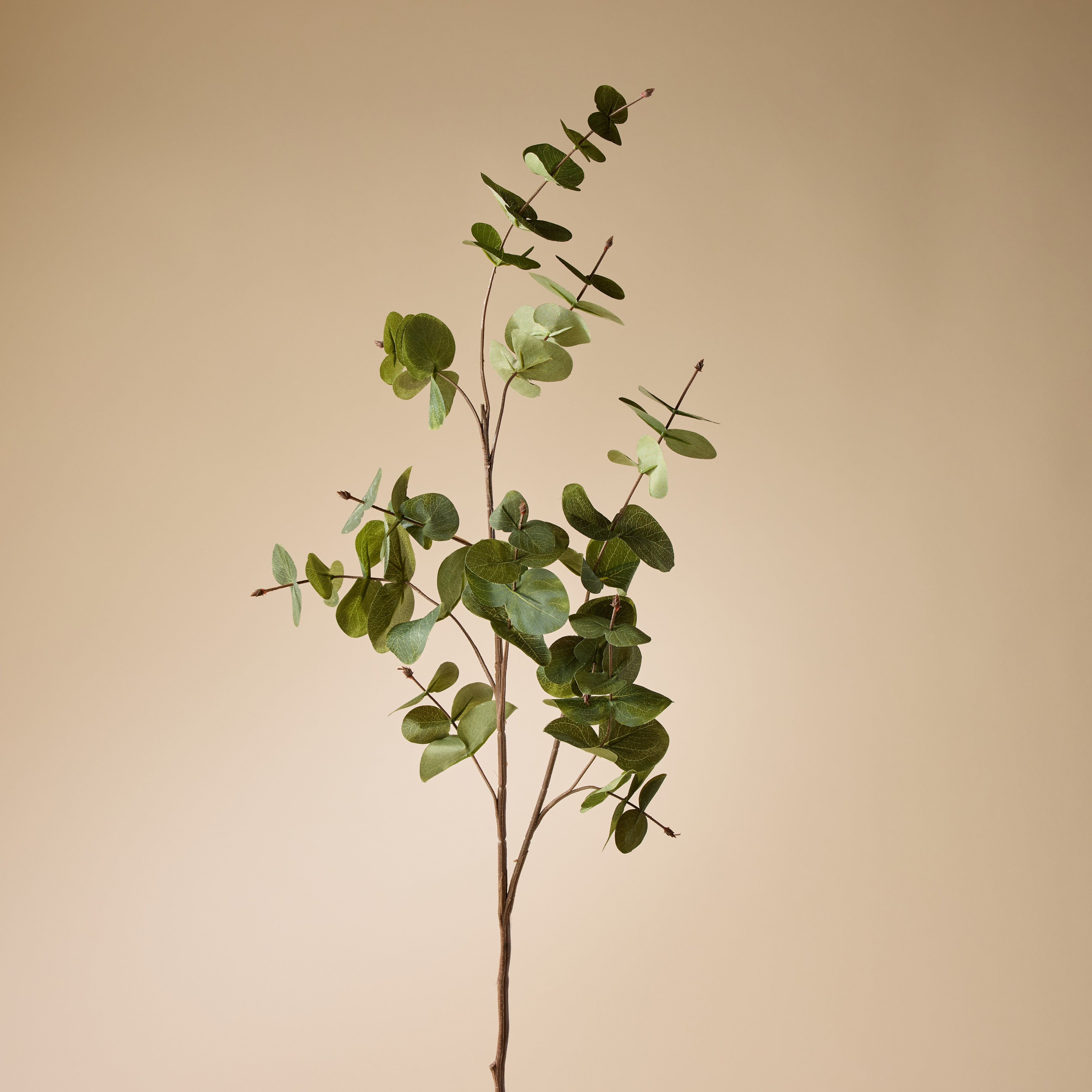 Artificial Silver Dollar Eucalyptus Spray - 35.4 Inch Realistic Green Faux Greenery for Home Decor, Wedding Centerpieces & Floral Arrangements