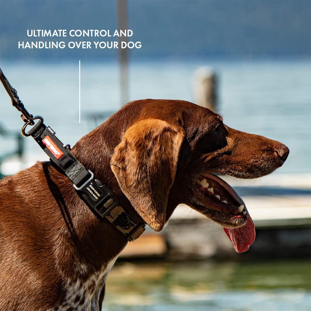 EzyDog Checkmate Martingale Dog Collar - Premium Nylon No-Choke Training Collar for Small Dogs (Red) | Perfect for Walking, Training & Behavior Control