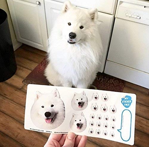 Custom Photo Stickers & Pet Face Stickers - Personalized Dog & Cat Stickers Sampler Sheet | Perfect for Pet Lovers, Scrapbooking, DIY Crafts & Gift Giving