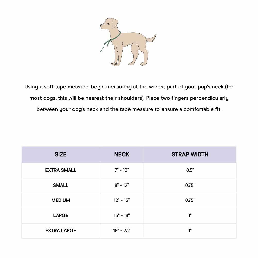 Wild One Dog Collar - Original Easy-Clean All-Weather Flex-Poly Strap with Metal Buckle | Durable, Dirt & Odor Resistant Pet Collar for Small Dogs | Perfect for Daily Walks, Hiking & Outdoor Adventures (XS, Black)