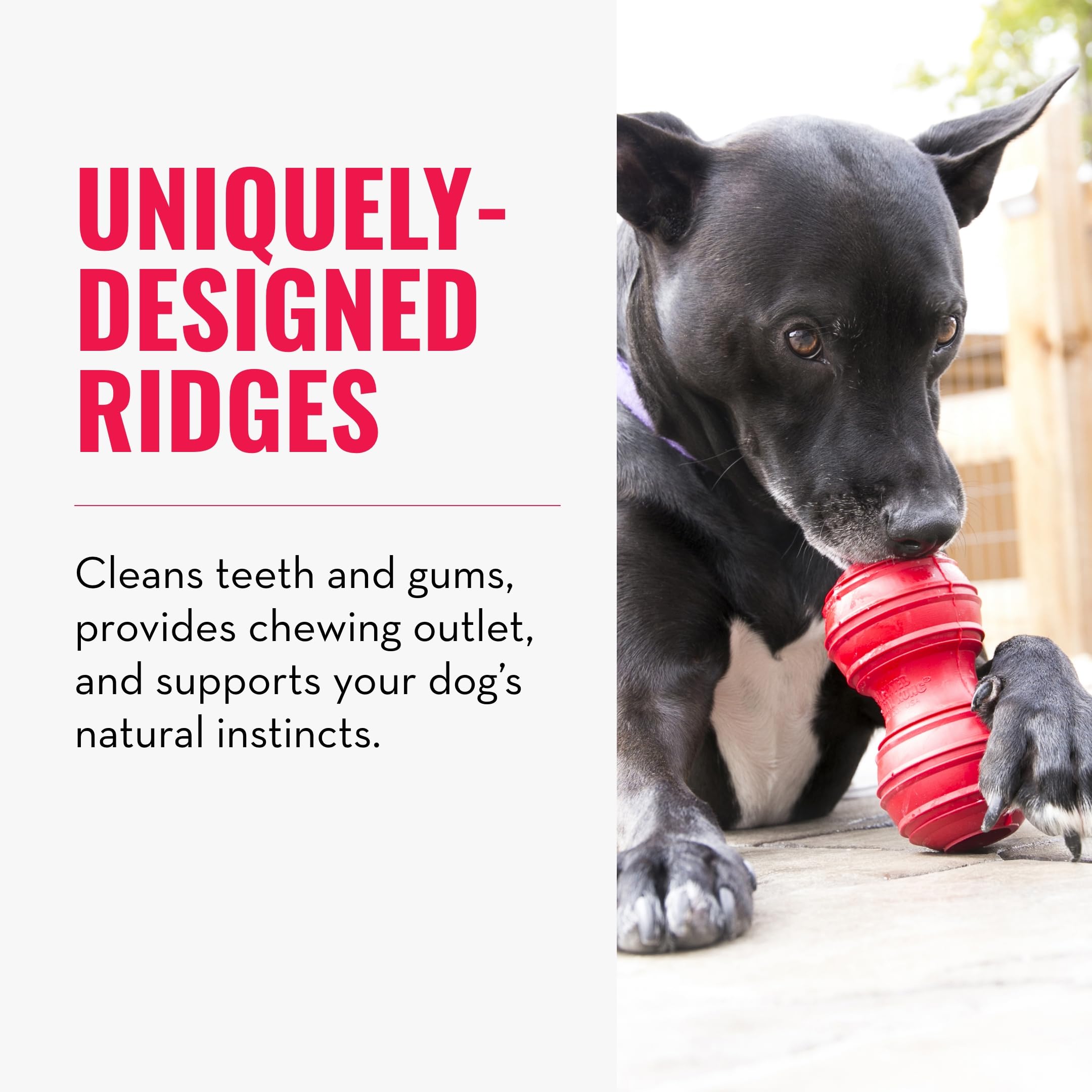 **KONG Dental Dog Toy for Large Dogs - Durable Natural Rubber Chew Toy for Dental Care, Teeth Cleaning & Gum Health - Stuffable for Treats - Satisfies Chewing Instincts - Perfect for Aggressive Chewers & Playtime**