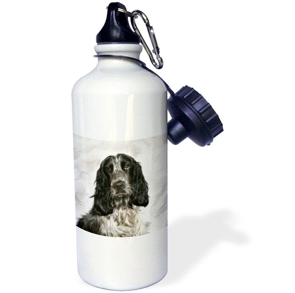 3D Rose English Springer Spaniel Sports Water Bottle - 21 oz White Insulated Stainless Steel for Gym, Hiking & Outdoor Activities
