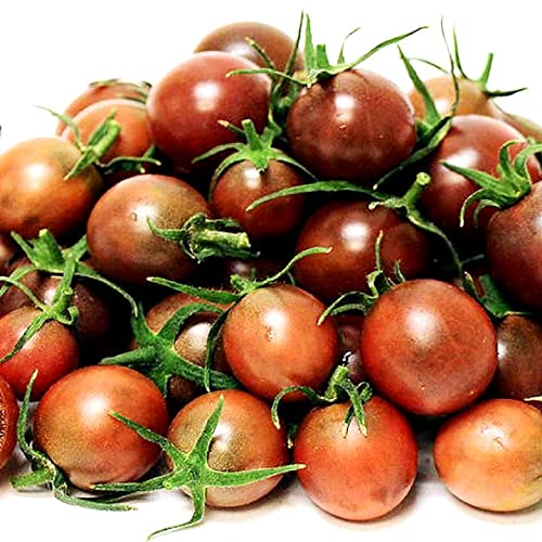 Organic Black Cherry Tomato Seeds (Solanum Lycopersicum) - 50+ Non-GMO Heirloom Seeds for Planting - Perfect for Home Gardens, Containers & Fresh Salads
