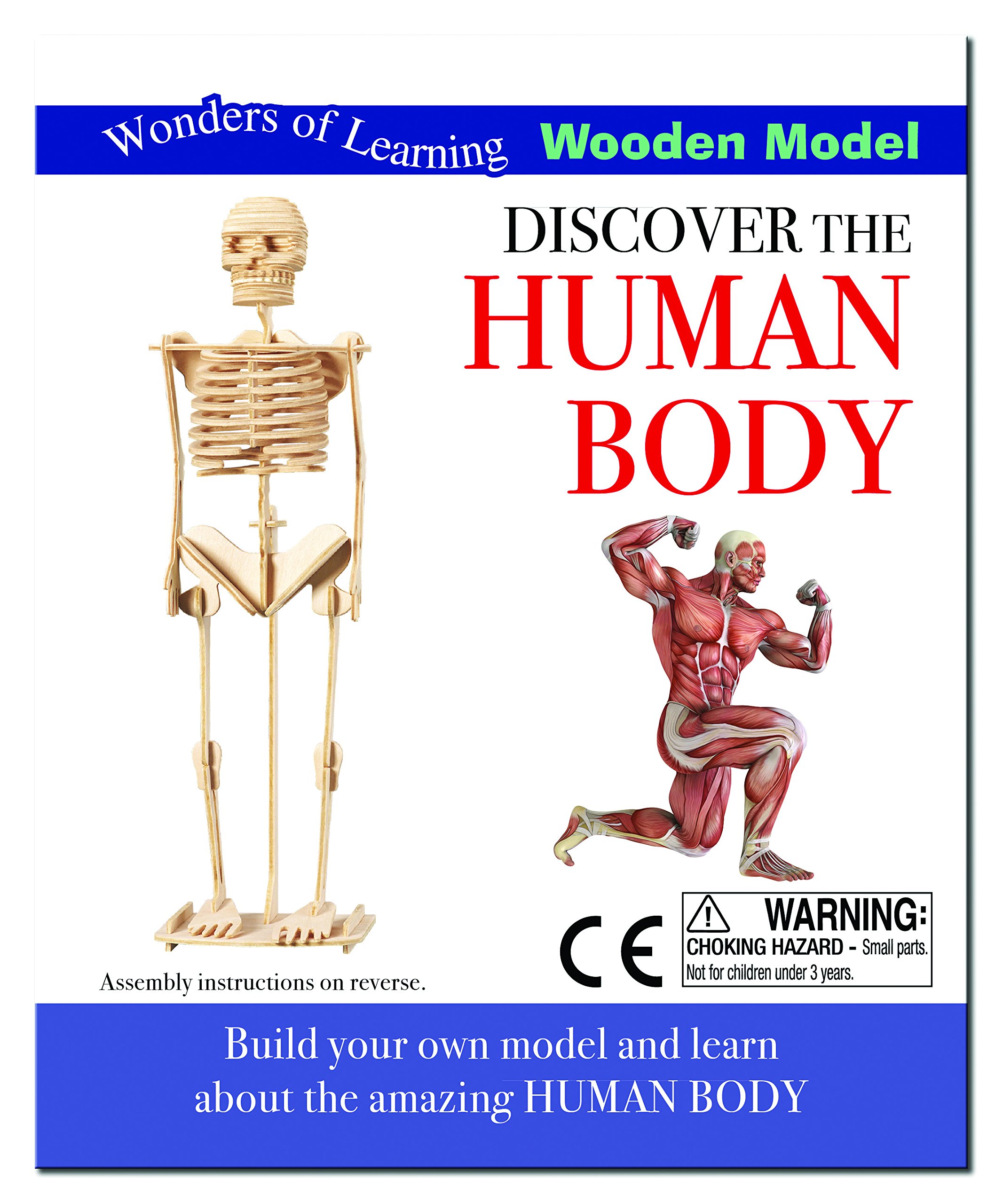 Human Body Educational Box Set - Interactive Learning Kit for Kids | Explore Anatomy & Biology | Perfect for Homeschooling & Classroom Science Activities
