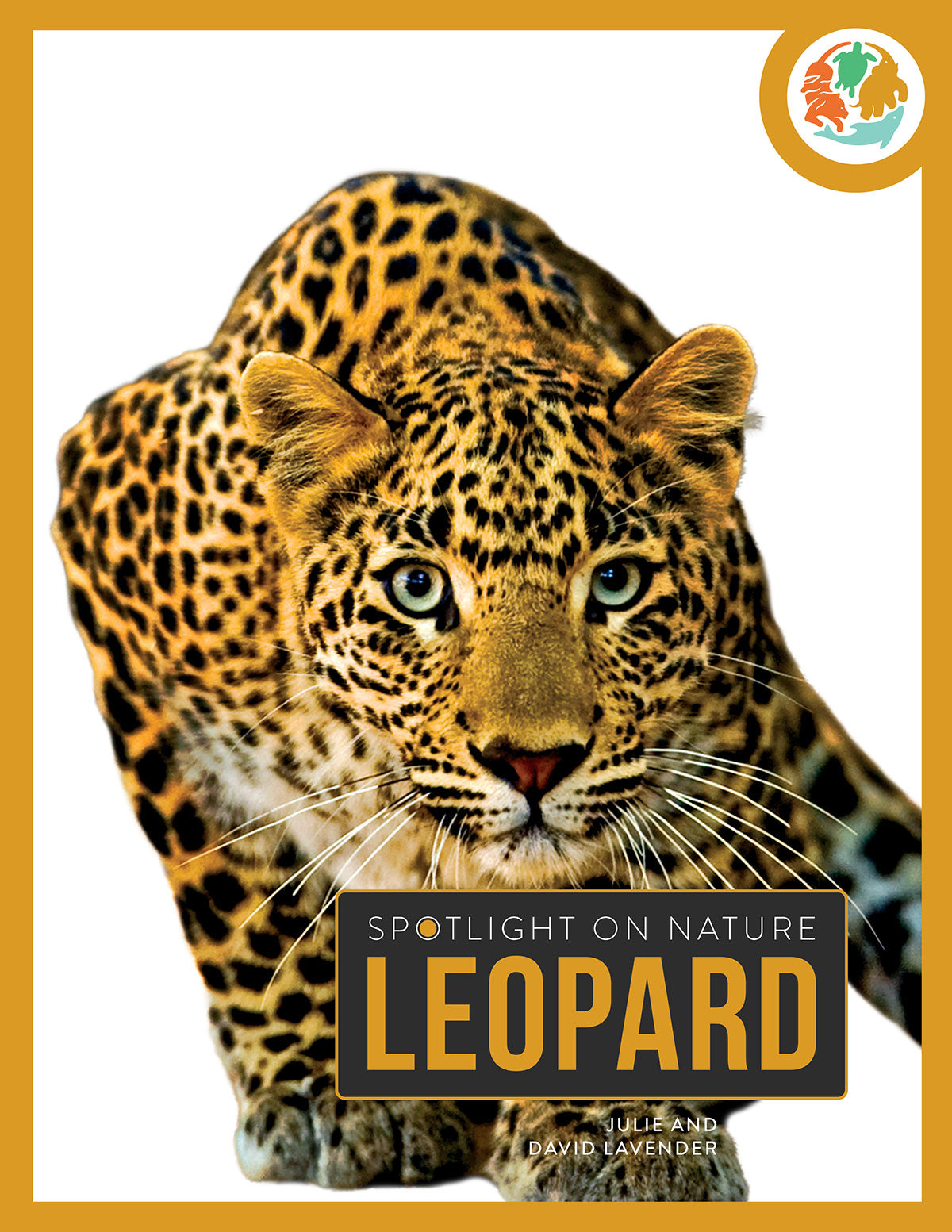 Leopard Print Fashion Accessories | Stylish Animal Print Scarves, Bags & More for Women | Perfect for Parties, Holidays & Everyday Wear