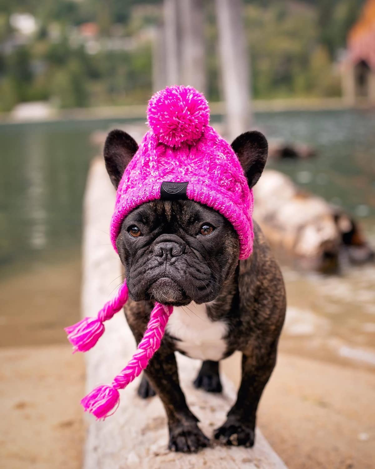 Warm Knitted Dog Hat for Small & Medium Dogs - Winter Pet Hat with Ear Holes, Soft Pink - Perfect for Cold Weather Walks & Outdoor Adventures