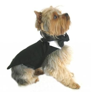 Black Dog Tuxedo with Tails, Bow Tie & Collar - Formal Pet Suit for Weddings, Parties & Special Occasions