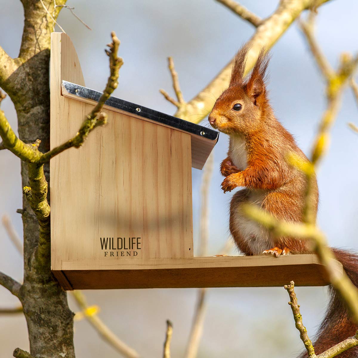 Weatherproof Pine Wood Squirrel Feeding House - 11x29x25cm Outdoor Squirrel Feeder Station for Backyard, Garden & Wildlife Watching - Durable Squirrel House with Rustic Design