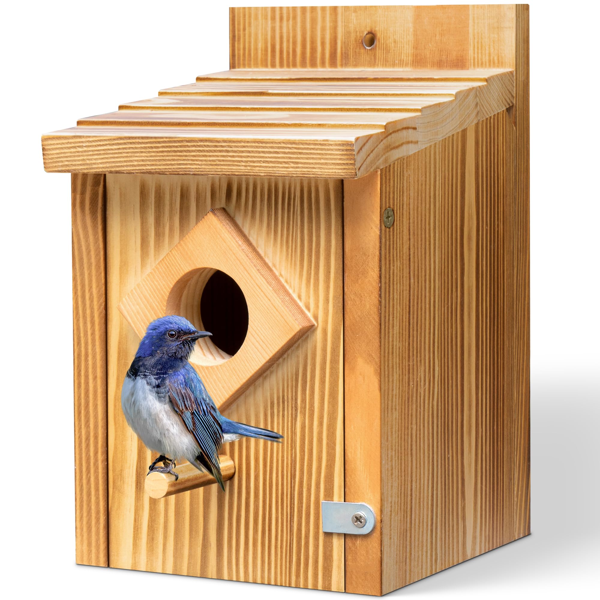 Waterproof Blue Bird House for Outdoors - Handcrafted Wooden Nesting Box with Spray Paint Treatment, Ideal for Bluebirds, Wrens, Swallows, Finches & Chickadees | Perfect for Garden, Backyard & Nature Lovers