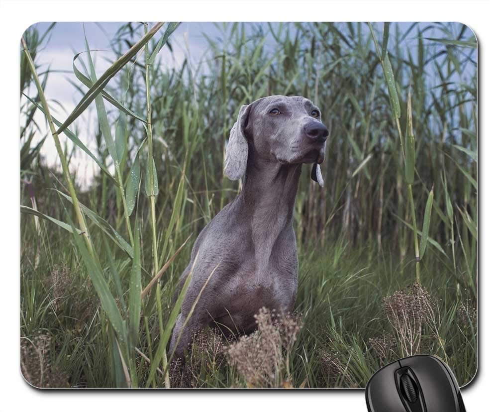 Premium Gaming Mouse Pad with Pet Dog & Nature Design - Non-Slip Rubber Base for PC, Laptop, Office & Home Use - Perfect for Gamers, Work & Study