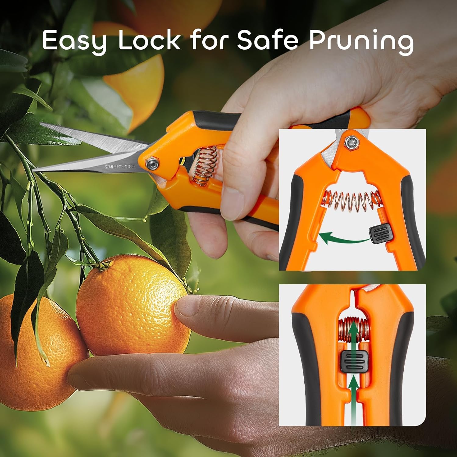 GROWNEER 6.5 Inch Pruning Shears - Stainless Steel Precision Garden Scissors for Trimming Plants, Flowers & Branches | Ideal for Gardening, Landscaping & Outdoor Use