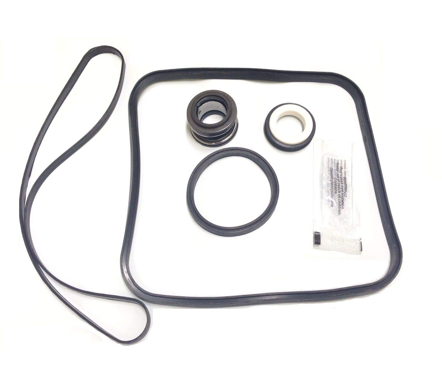 Hayward Super Pump 2600 & 1600 Salt Pool Seal Rebuild Repair Kit - Replacement Parts for Swimming Pool Pump Maintenance (Ideal for Backyard Pool Equipment Repair & Water Leak Prevention)