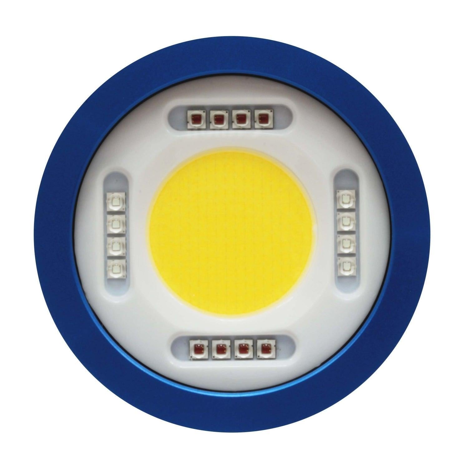 BigBlue 16,500 Lumen Professional Video Light with Remote Control - Adjustable Warm White, Red & Blue LED Modes for YouTube, Photography & Studio Lighting