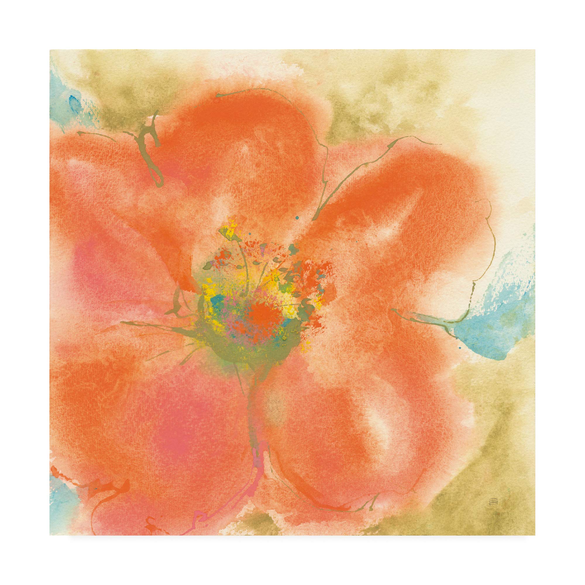 Trademark Fine Art 18x18 Coral Poppy II by Chris Paschke - Floral Wall Art for Living Room, Bedroom & Office Decor