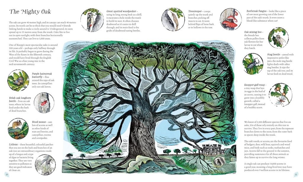 Isabella Tree: Wilding - Illustrated by Angela Harding | Nature Conservation Book for Eco-Friendly Living & Wildlife Enthusiasts
