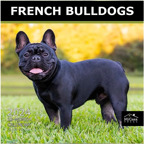 03 - French Bulldogs
