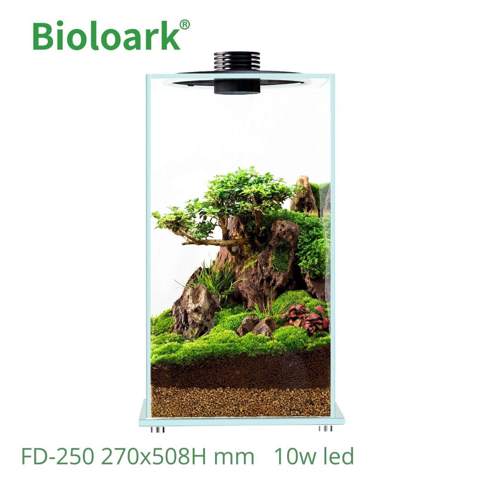 Bioloark Enclosed Terrarium Tank - Glass Habitat for Plants & Reptiles (FD 200 / FD 250) | Perfect for Indoor Gardening, Gecko & Frog Terrariums, Home Decor