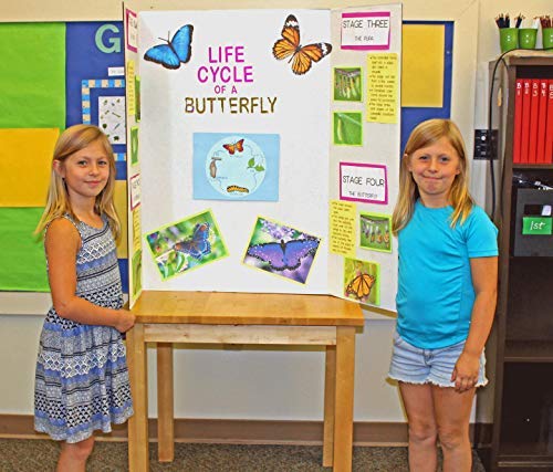 Flipside Products 36” x 48” Tri-Fold Presentation Boards - Premium White Corrugated Display Boards for Science Fair Projects, School Presentations, Business Events & Trade Shows (24-Pack, Made in USA) - Perfect for Classroom Projects, Exhibitions & Professional Displays