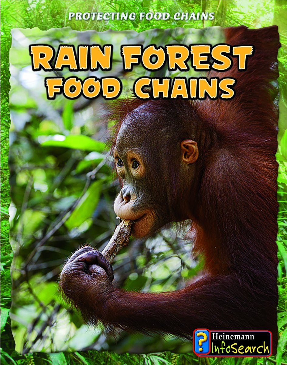 Rain Forest Food Chains Book - Protecting Ecosystems for Kids Learning