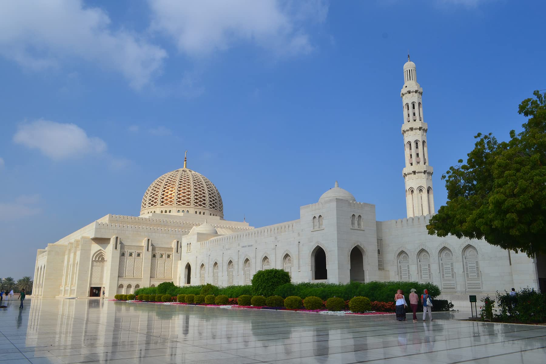 1000 Piece Jigsaw Puzzle for Adults - Grand Mosque Muscat Oman Artwork - Challenging Puzzle Game & Home Decor Gift for Puzzle Lovers (Perfect for Family Game Night, Stress Relief & Wall Art Display)