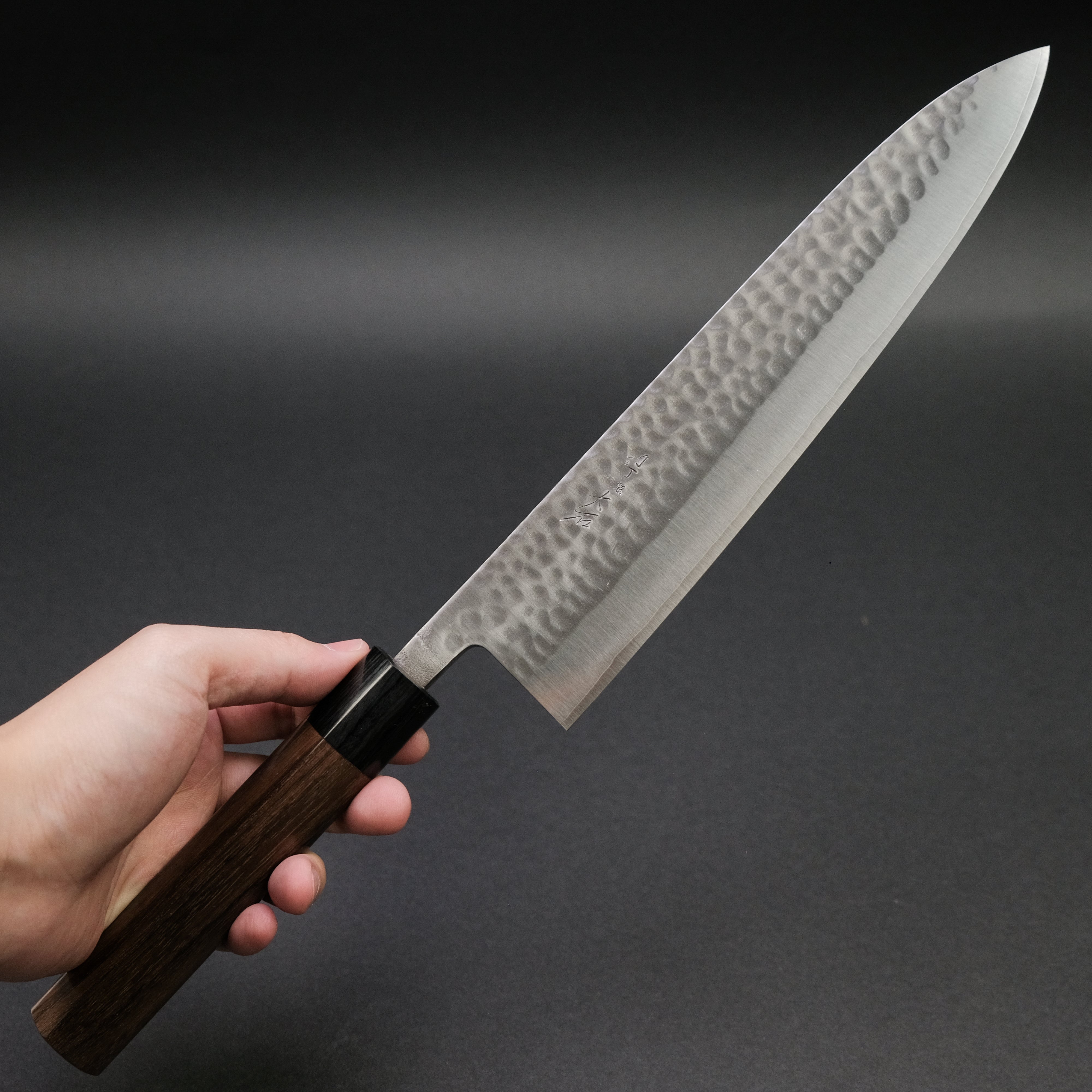 Ohishi SLD Tsuchime Gyuto 240mm Japanese Chef Knife - High Carbon Steel Blade with Rosewood Handle - Perfect for Sushi, Meat Cutting & Professional Kitchen Use