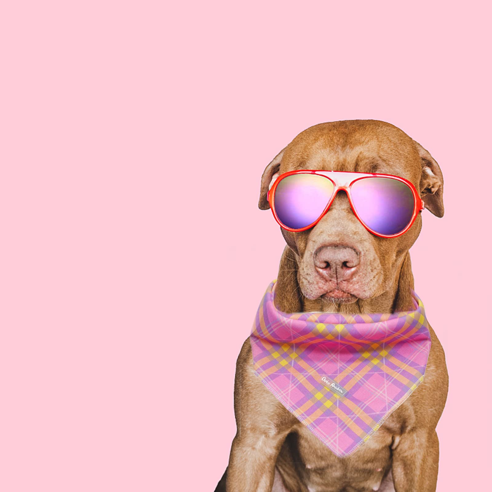 Adjustable Dog Bandana for Small to Large Dogs - 1PC Birthday Gift, Summer Bib Scarf for Male & Female Pets - Perfect for Birthdays, Parties & Outdoor Adventures