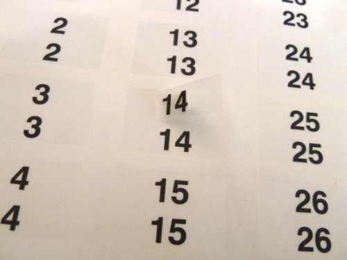 31x10mm Black Matte Clear Consecutive Number Stickers 1-1000 - Durable Plastic Twin Labels for Inventory, Organizing, Packaging & Asset Tracking