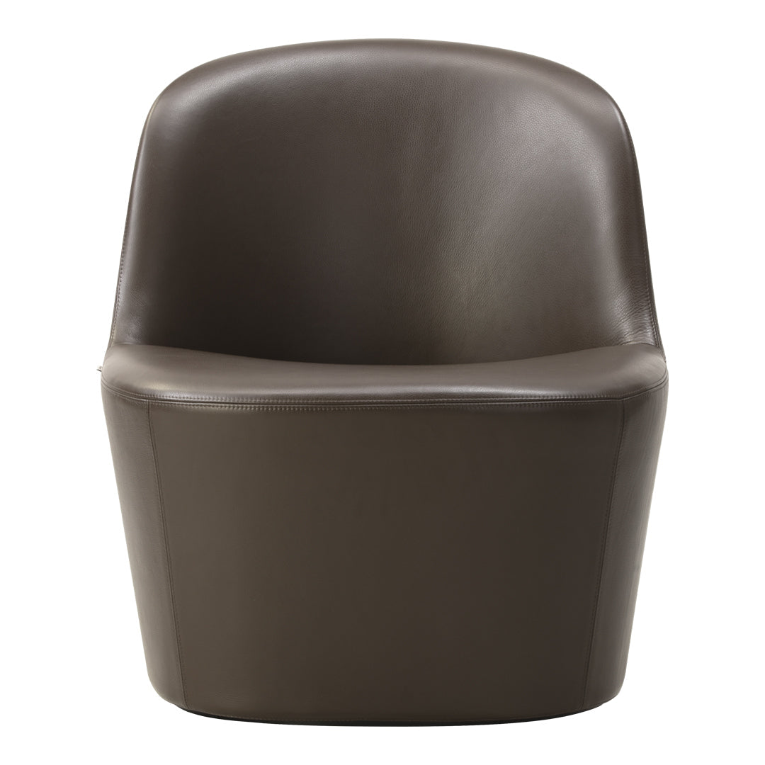 Comfortable Gomo Lounge Chair for Living Room - Modern Accent Chair with Soft Cushions, Perfect for Reading Nook, Bedroom or Patio Relaxation