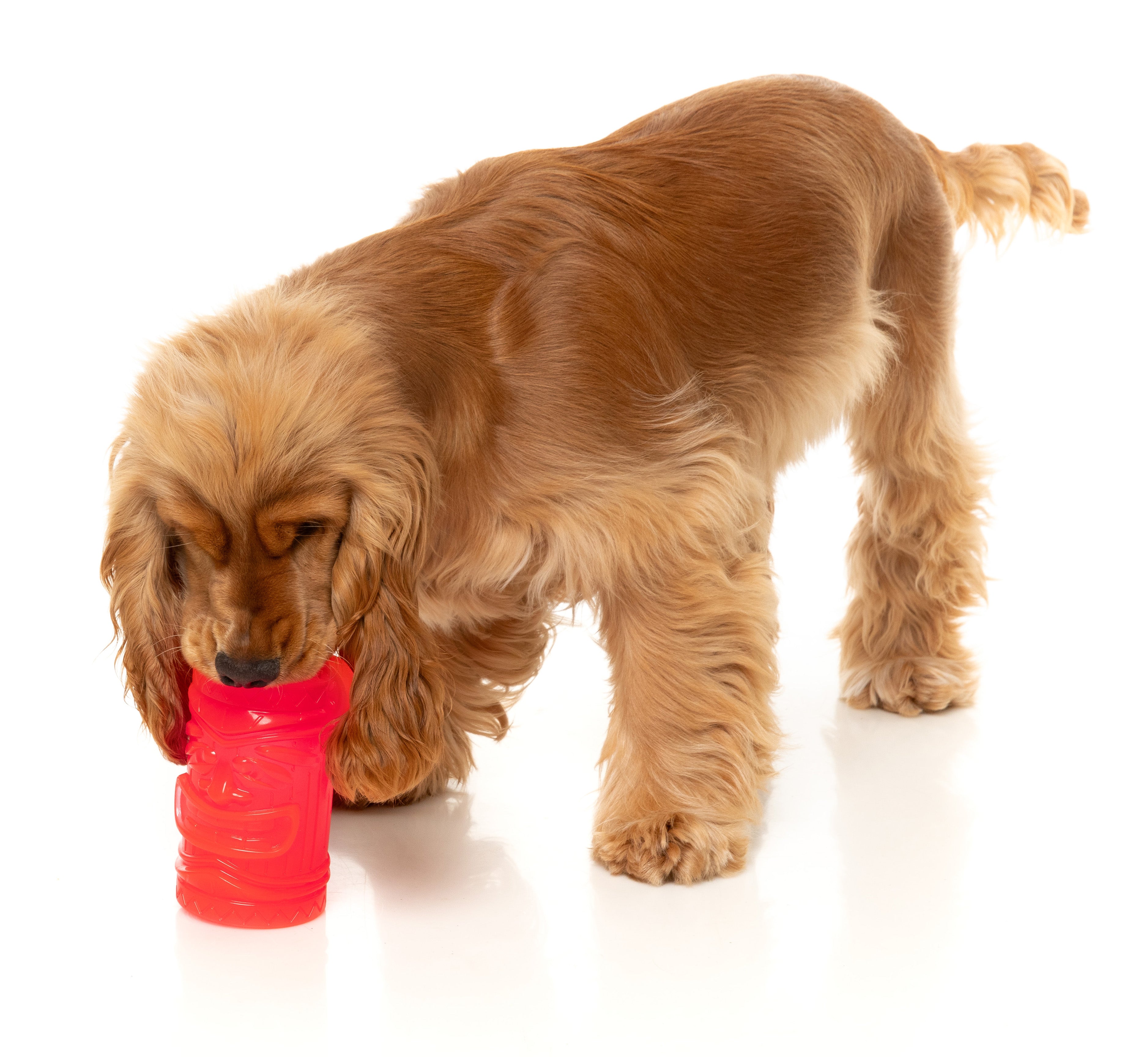 Fuzzyard Interactive Dog Chew Toy with Treat Dispenser - Pina Coolada Freeze Flavor | Durable Chewing Toy for Puppies & Adult Dogs | Perfect for Training, Boredom Relief & Dental Health