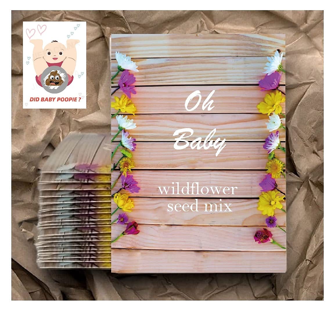 Rustic Toys Wildflower Seeds Party Favors - 20 Non-GMO Individual Seed Packets with Free 20 Game Cards - Unique Party Favors for Kids & Adults - Perfect for Birthday Parties, Baby Showers, and Wedding Guest Gifts