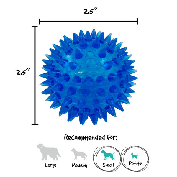 Gnawsome Small Squeaker Ball for Dogs - Interactive Chew Toy for Puppies & Small Breeds - Fun Indoor/Outdoor Playtime & Training Reward