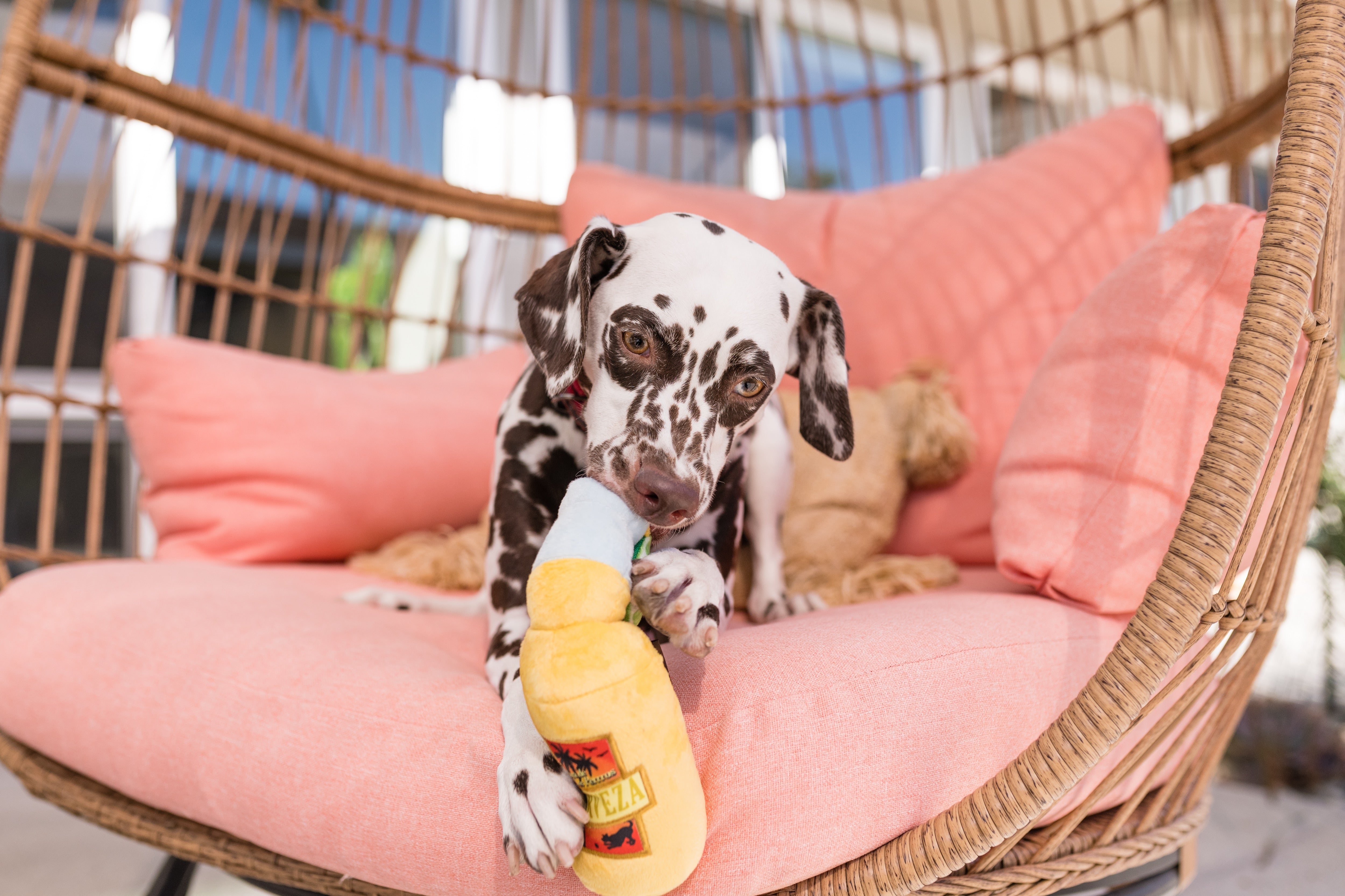 Tropical Paradise™ Dog Plush Toy - La Cerveza Tropical Beer-Shaped Chew Toy for Dogs | Durable & Soft Pet Play Toy for Small, Medium & Large Breeds | Perfect for Playtime, Training & Cuddling