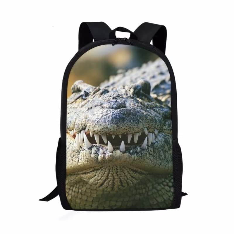 Crocodiel