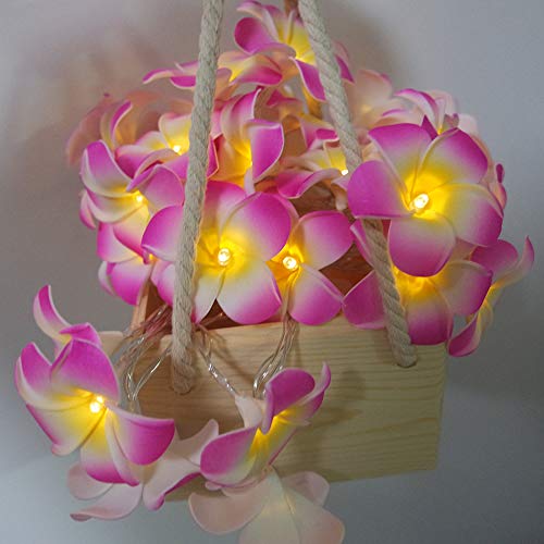 20 LED Hawaiian Plumeria Flower String Lights - Battery Powered Fairy Starry Lights for Christmas, Party, Home, Wedding & Beach Decor (Pink) | Indoor & Outdoor Decorative Lighting for Garden, Patio and Special Events
