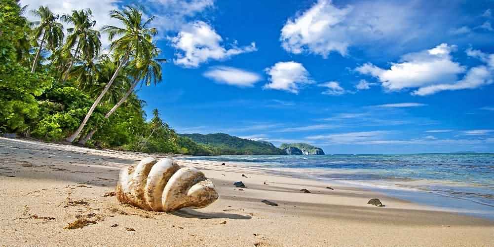 20' x 10' Tropical Beach Scenic Backdrop - High-Quality CP Printed Photography Background for Parties, Events & Photo Shoots | ACP-133 by GladsBuy