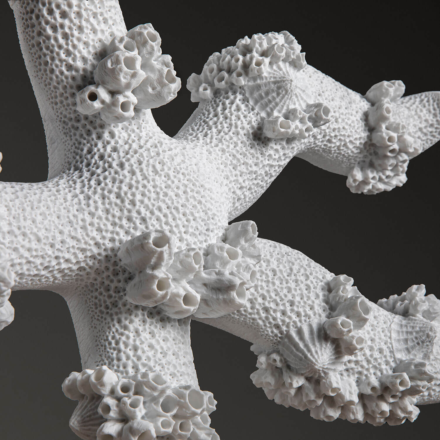 Starfish Submarine Encounters - Underwater Adventure Toy for Kids | Perfect for Pool Play, Bath Time & Ocean-Themed Parties