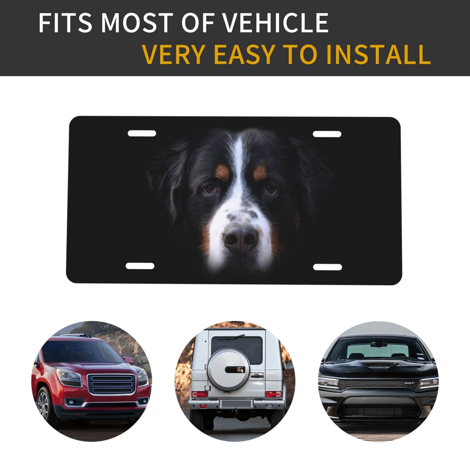 Bernese Mountain Dog Aluminum License Plate - 6x12 Inch Rust-Proof Metal Car Tag for Men, Women, Boys & Girls - Perfect for Trucks, SUVs & Classic Cars
