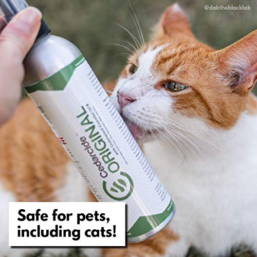 Cedarcide Original & Tickshield Family Pack - Natural Cedar & Lemongrass Oil Bug Spray for Flea & Tick Control | Eco-Friendly, Non-Toxic Insect Repellent for Dogs, Cats & Home | 4-Pack 16oz Bottles | Perfect for Outdoor Activities, Camping & Pet Protection