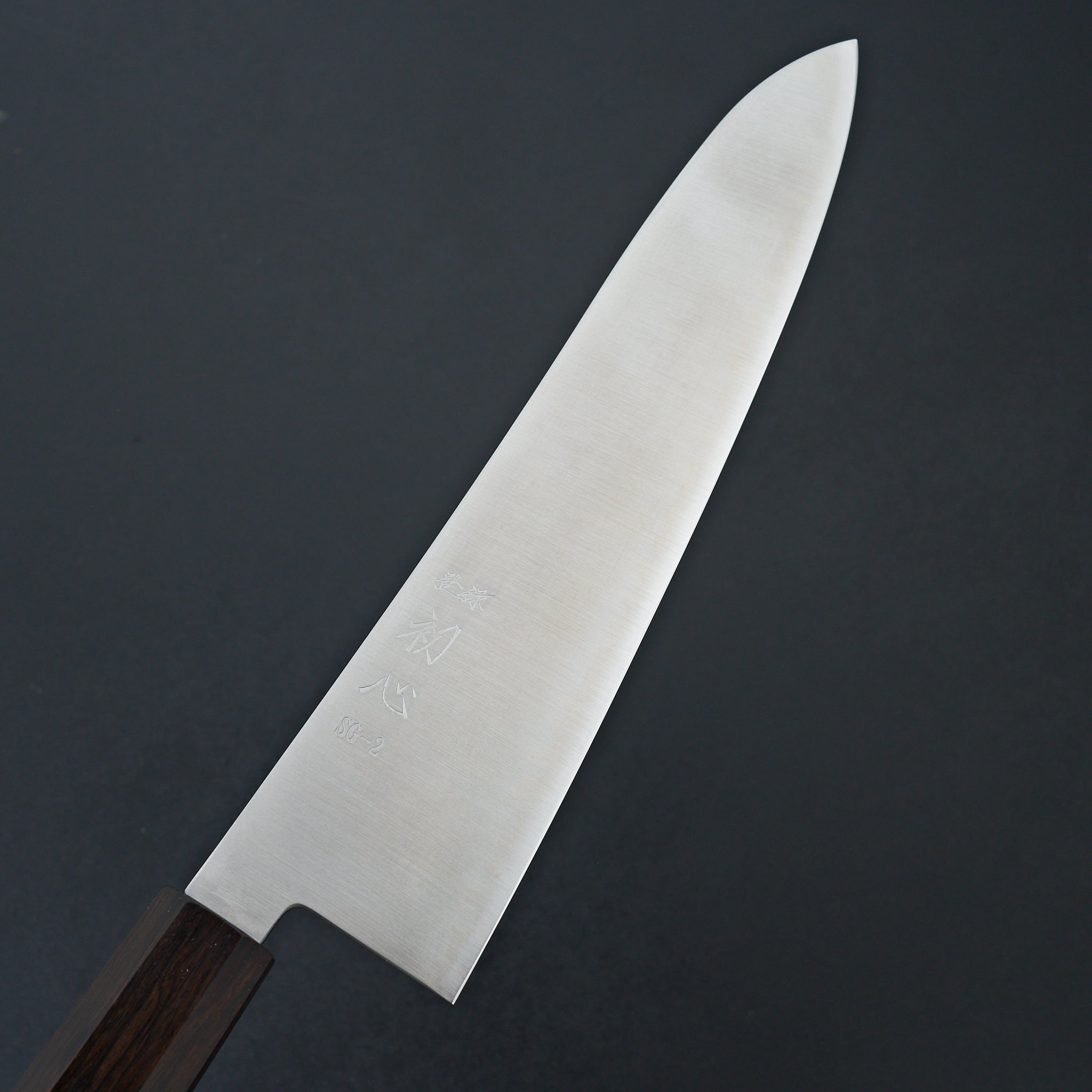 Hatsukokoro Hayabusa SG2 Gyuto 240mm Japanese Chef Knife - Premium Stainless Steel Kitchen Knife for Slicing, Dicing & Chopping - Perfect for Home Cooks & Professional Chefs