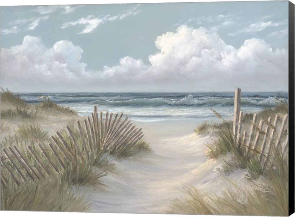 Pathway Through The Dunes by Georgia Janisse - 16x12 Inch Canvas Wall Art Print, Museum Wrapped with Black Edges - Perfect for Living Room, Bedroom & Office Decor