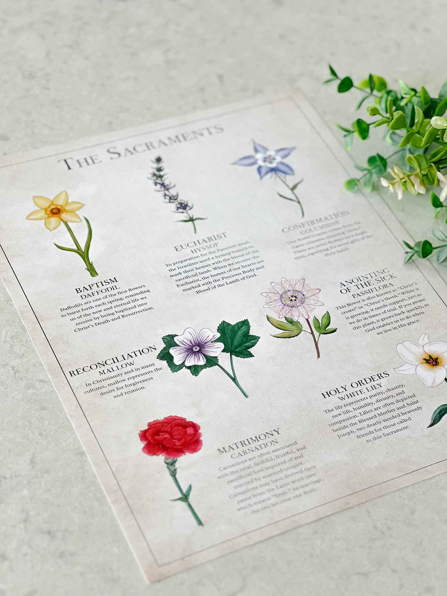 The Seven Sacraments Catholic Religious Art Print - Perfect for Home Decor, Church Display & Gift Giving