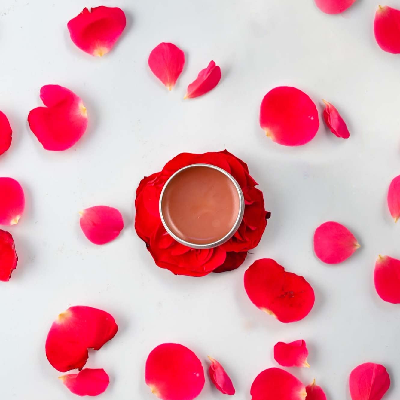 Organic Rose Lip Balm - 100% Natural Moisturizing Lip Care with Rose Flavor | Hydrates & Protects Dry Lips | Perfect for Daily Use, Travel & Gifting - 10gm