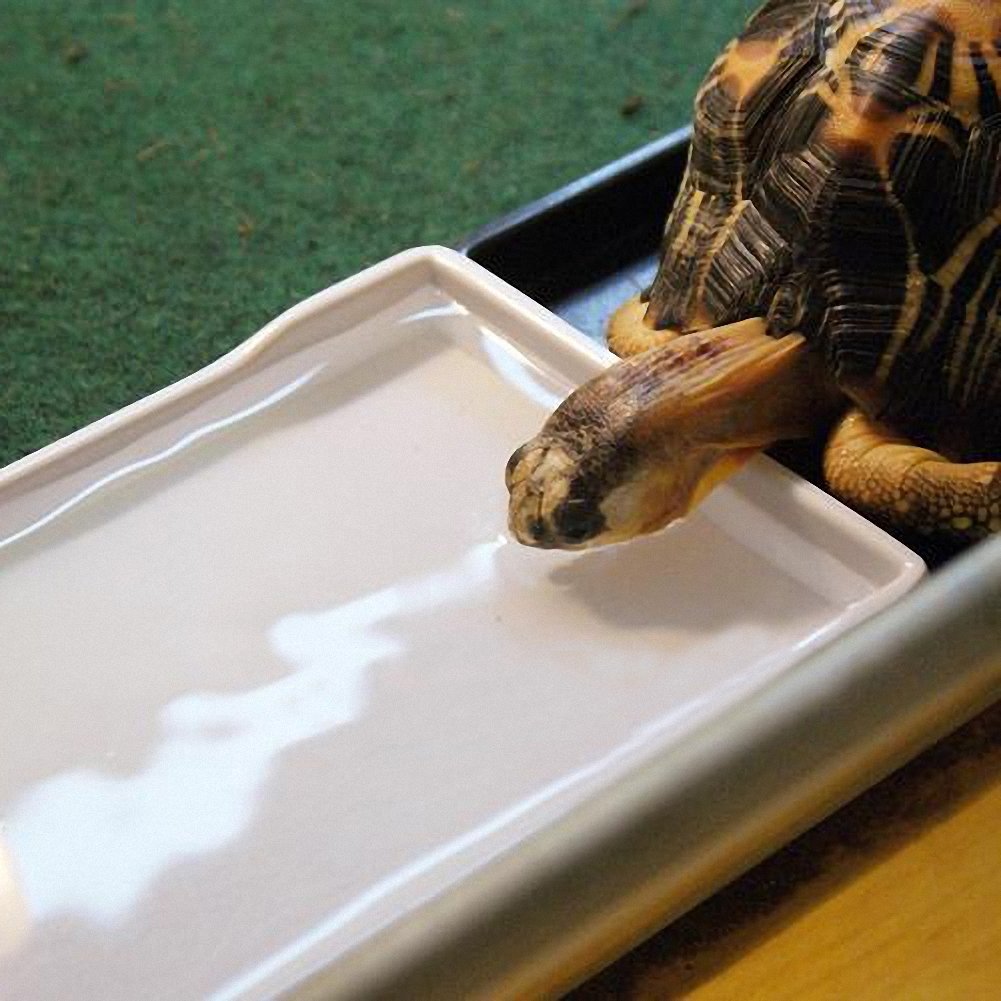 OMEM Large Reptile Food and Water Dish - Tortoise Feeding Bowl with White Lattice Design (Medium Size) - Perfect for Turtles, Lizards, and Amphibians in Terrariums or Outdoor Habitats