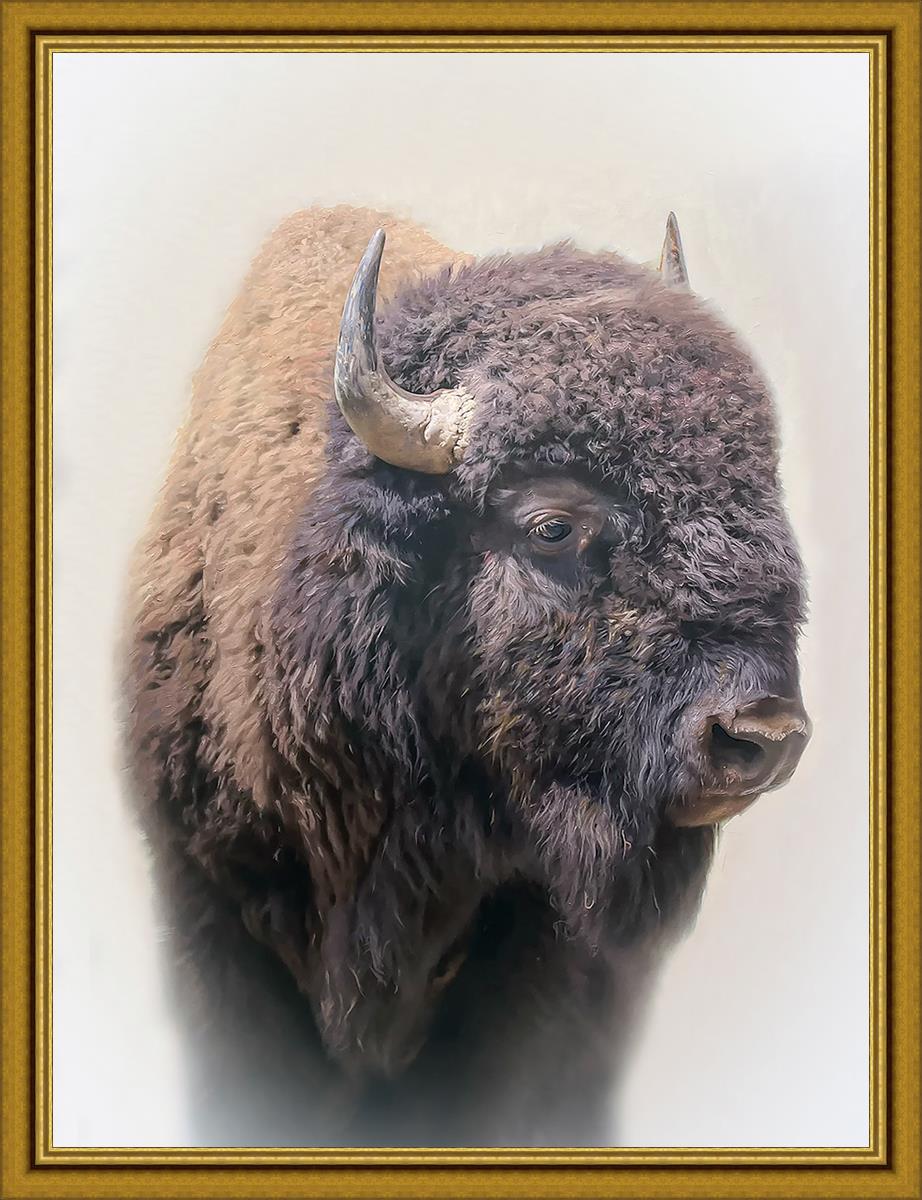 Bison Large Wall Art - Stunning Bison Canvas Print for Home & Office Decor | Perfect for Living Room, Bedroom, or Cabin Wall Decor
