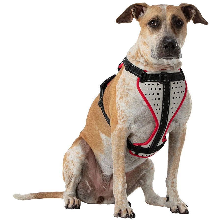 Best No-Pull Dog Harness for Running & Walking - Adjustable Reflective Pet Harness for Small, Medium, Large Dogs - Perfect for Jogging, Hiking & Outdoor Adventures
