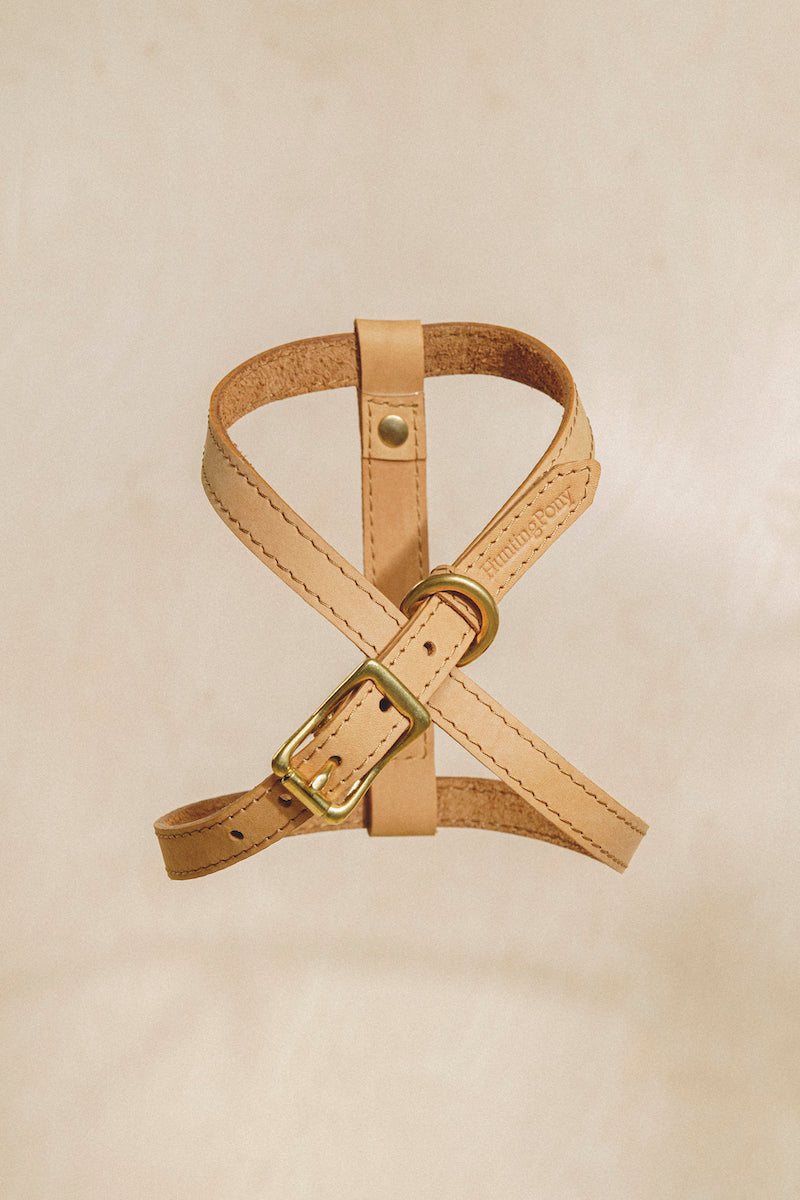 Premium Leather Dog Harness for Small to Medium Dogs - Adjustable & Durable Pet Harness for Walking, Training & Outdoor Adventures
