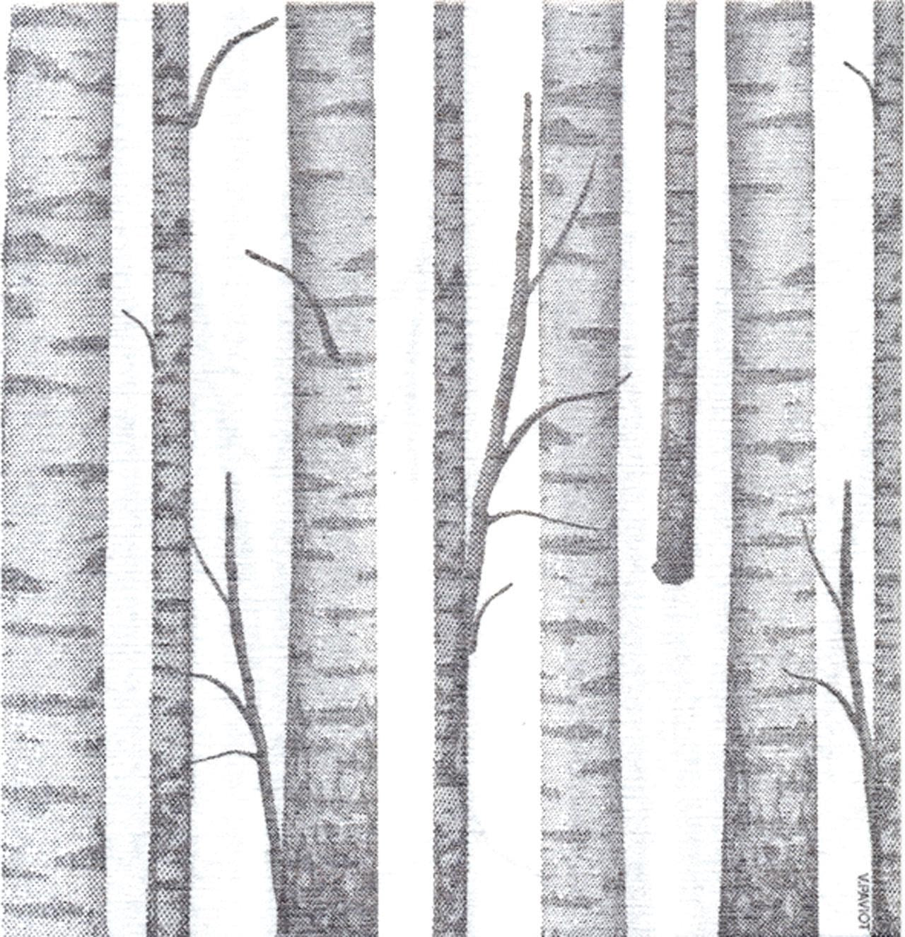 Premium Wood Grey Dinner Size Paper Napkins - 13