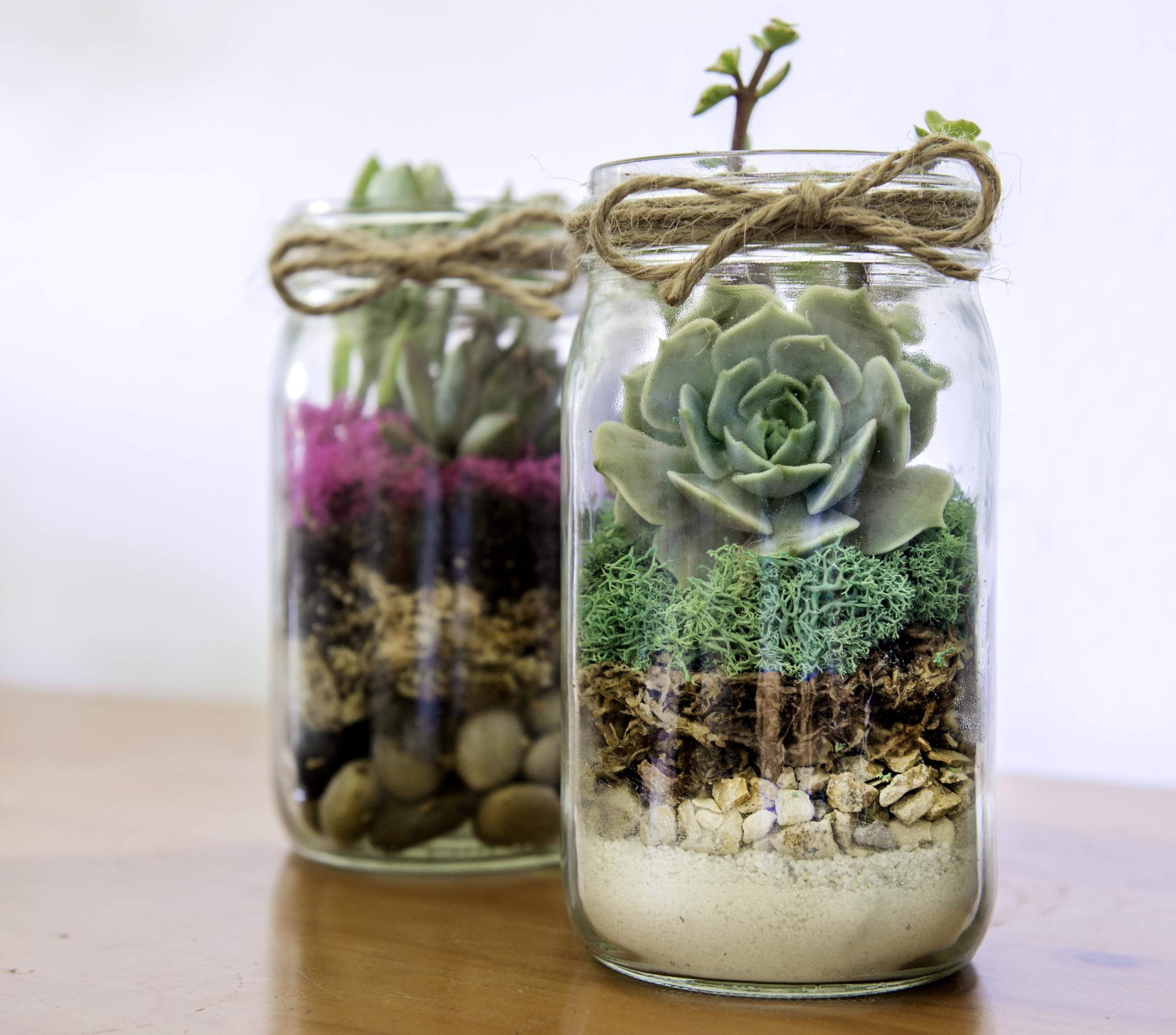 DIY Mason Jar Terrarium Kit - Create Your Own Mini Garden in a Glass Jar | Perfect for Home Decor, Office Desk & Gift Ideas