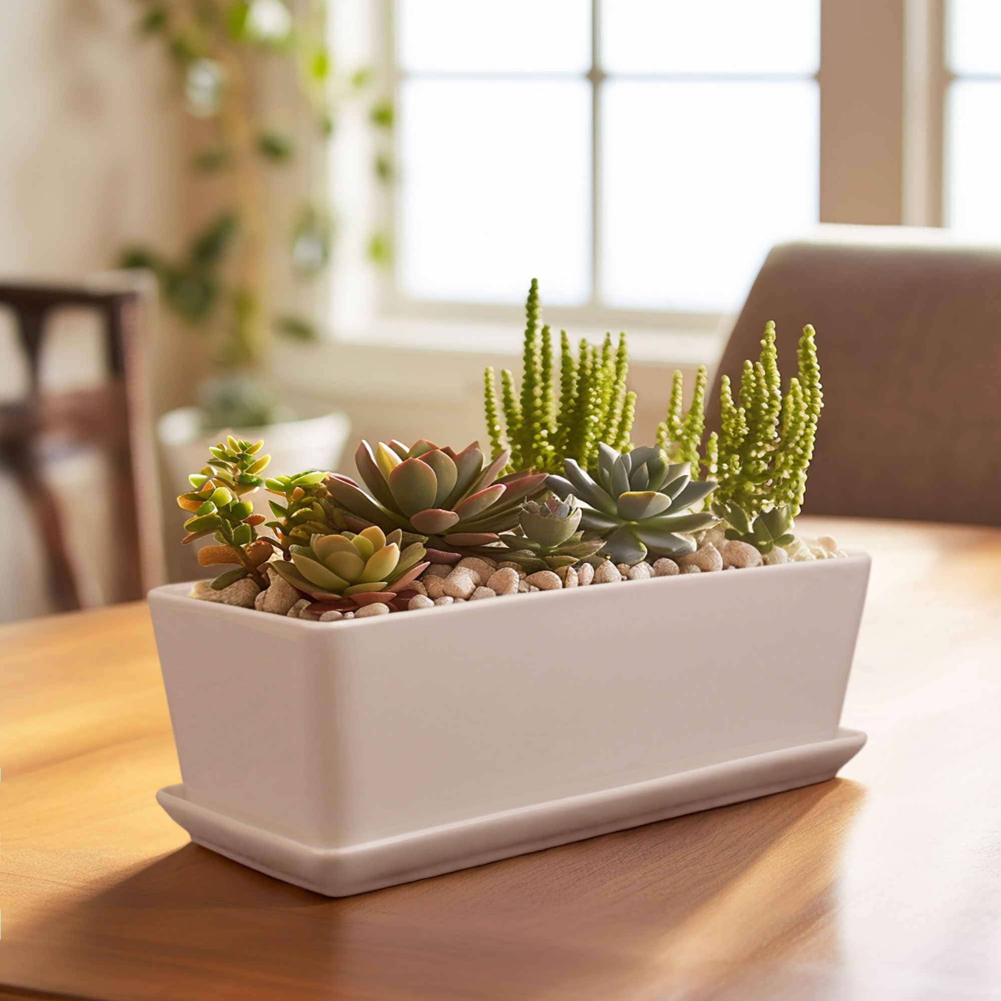 BambooMN White Ceramic Succulent Planter Pot with Drainage Tray - 10.1 Inch Short Rectangle Flower Pot for Indoor Plants, Home Decor, Office Desk, and Garden Succulents