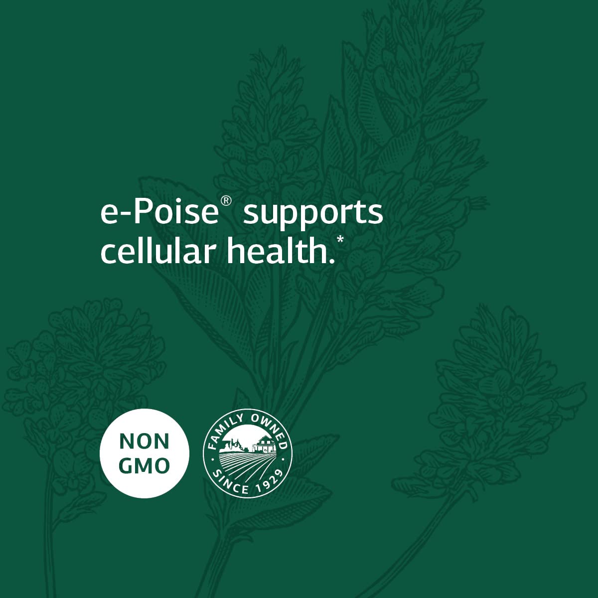 Standard Process Catalyn with Iron - Whole Food Multivitamin for Energy & Vitality | Riboflavin, Vitamin B6, Thiamine, Wheat Germ | Antioxidant Support with Vitamin A & Flaxseed Oil | 150 Capsules - Daily Wellness Supplement for Active Lifestyles & Immune Support